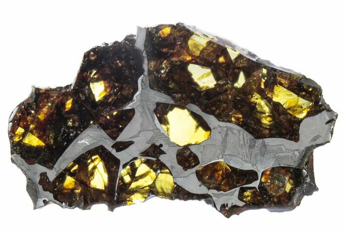 Polished Pallasite Meteorite ( g) Slice - NWA (Prov) #303846